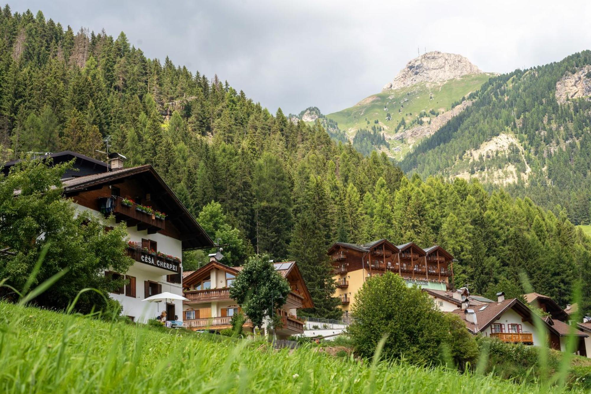 Cesa Cherpei - Dog Friendly Campitello di Fassa Exterior photo